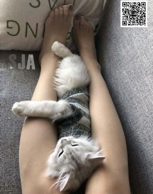 资源网址在线免费观看